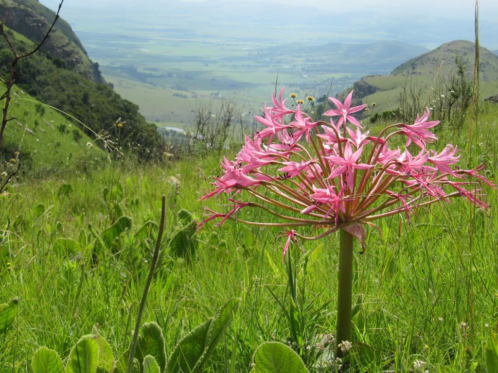 Verlorenkloof Dullstroom Exterior foto