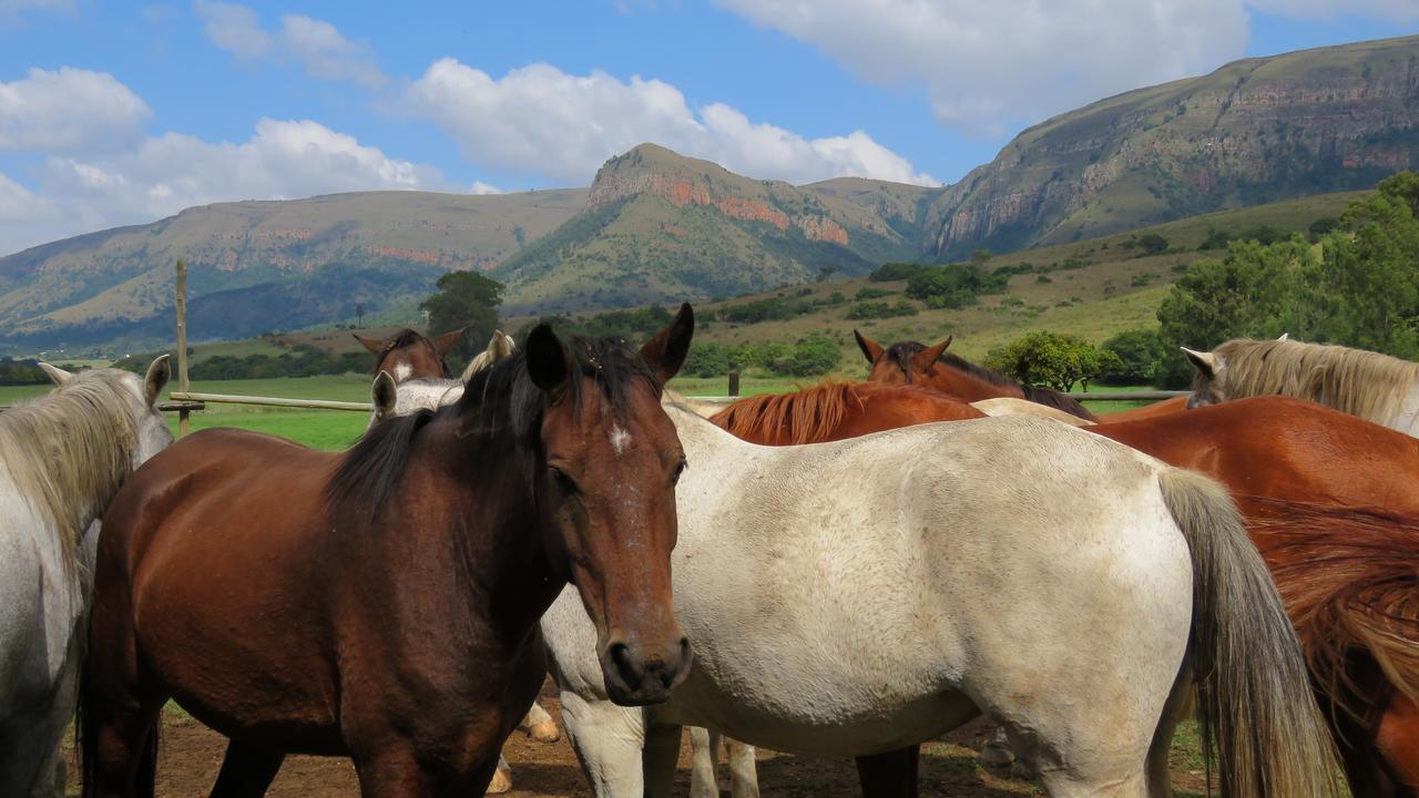 Verlorenkloof Dullstroom Exterior foto